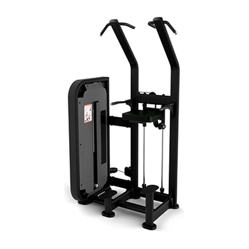 舒華 單雙杠訓(xùn)練器 SH-6851